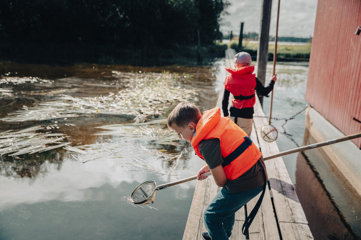 Foto av to barn som fanger insekter i vann om sommeren