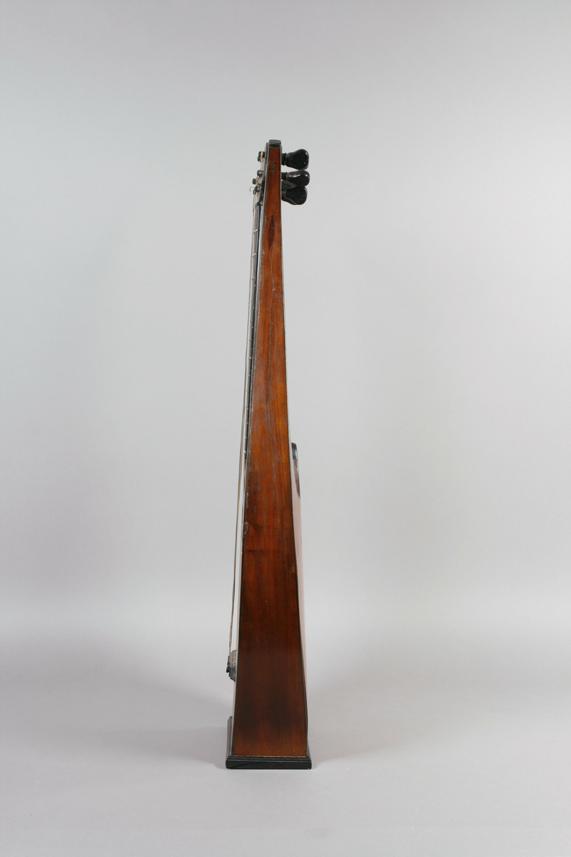 Vanlig gitar i omtrentlig gresk lyreform: korpus, gripebrett og to armer i et stykke. Armene forbundet øverst, gjennom skruekassen, ved et åk av metall. 6 strenger.

Stemmeskruer av ibenholt med perlemorsøye. Skruene festet undenifra. 13 bånd: 4 av ben, 9 av tre. 2 lydhull i form av gjennombrutte rosetter. Hals, gripebrett, strengefestet, fotstykke og kant rundt lydhullene av ibenholt. Knapper til strengefest av ibenholt med perlemor innlegg. Lokk av gran, sider og bunn mahogny. 
På innsiden av korpus to ribber av nåletre på tvers over bunn helt fram til sargene. 1 ribbe på tvers under lokk ovenfor rosettene.

Stil: Empire.
