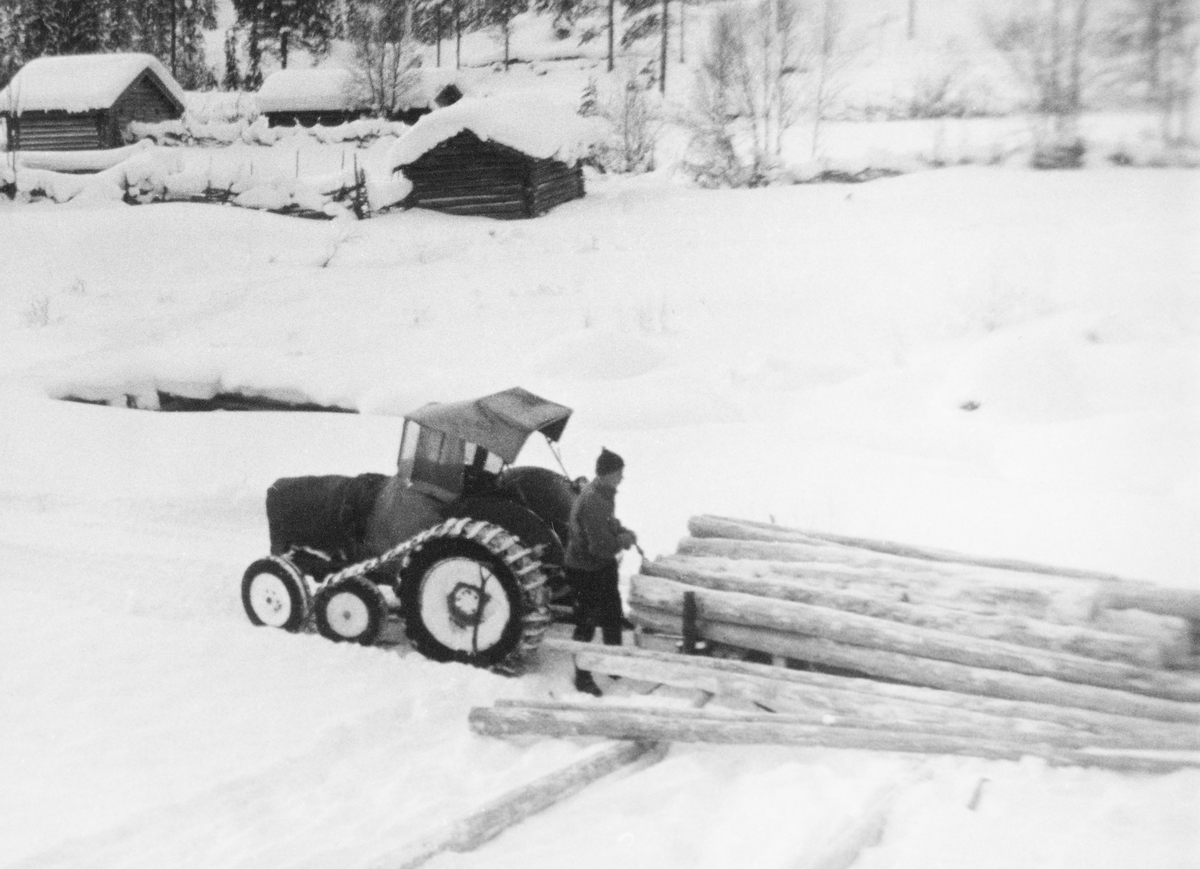 Tømmerkjøring med traktor.  Gråtass med halvbelter og med påmontert "hytte" av presenningstoff og glass.  På bildet foregår avlessing fra en traktorrustning.  I bakgrunnen antakelig et elveleie, delvis skjult i snøen, og tre små laftehus. 