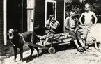 Tre pojkar vid en vedkärra förspänd med en hund. Kvarnhagen, ca 1912.
Fr.v.: Folke Wallin, Johan Rosén och Nils Ramm.
