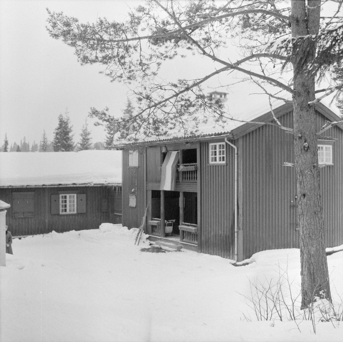 Ungarsk familie på Vestmarka