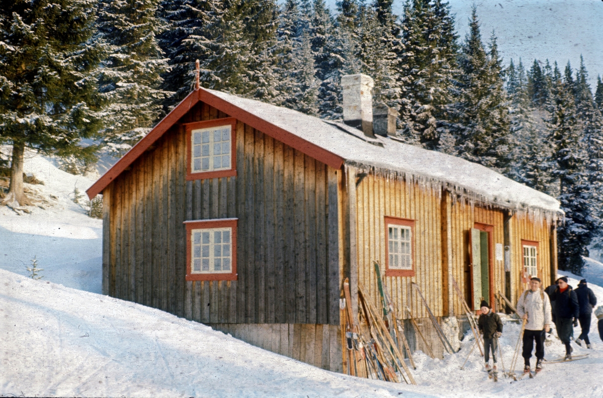 Grønlia i Bymarka