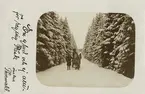 Ett slädekipage (?) på en snöig väg, 1908.