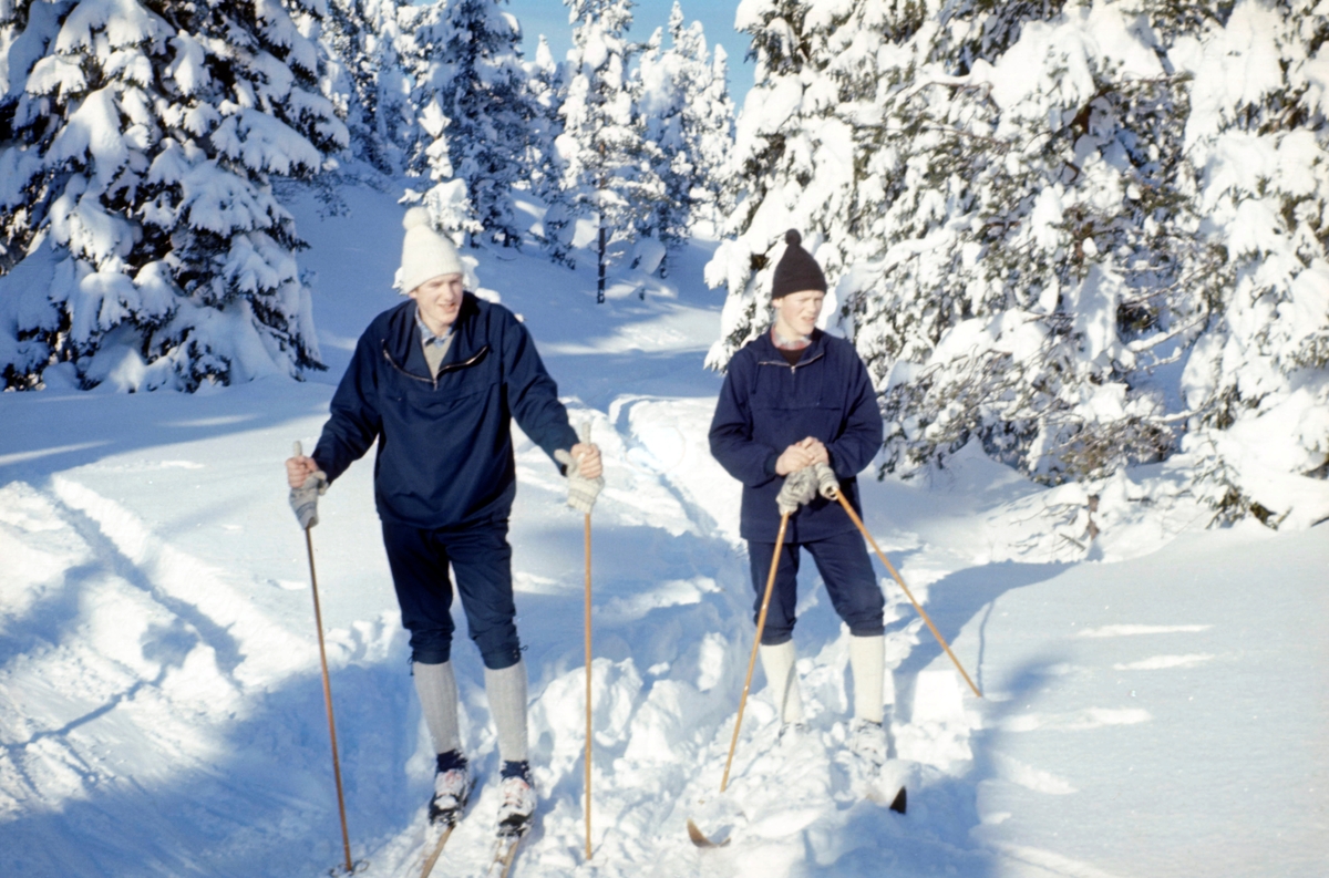 Brødre på skitur