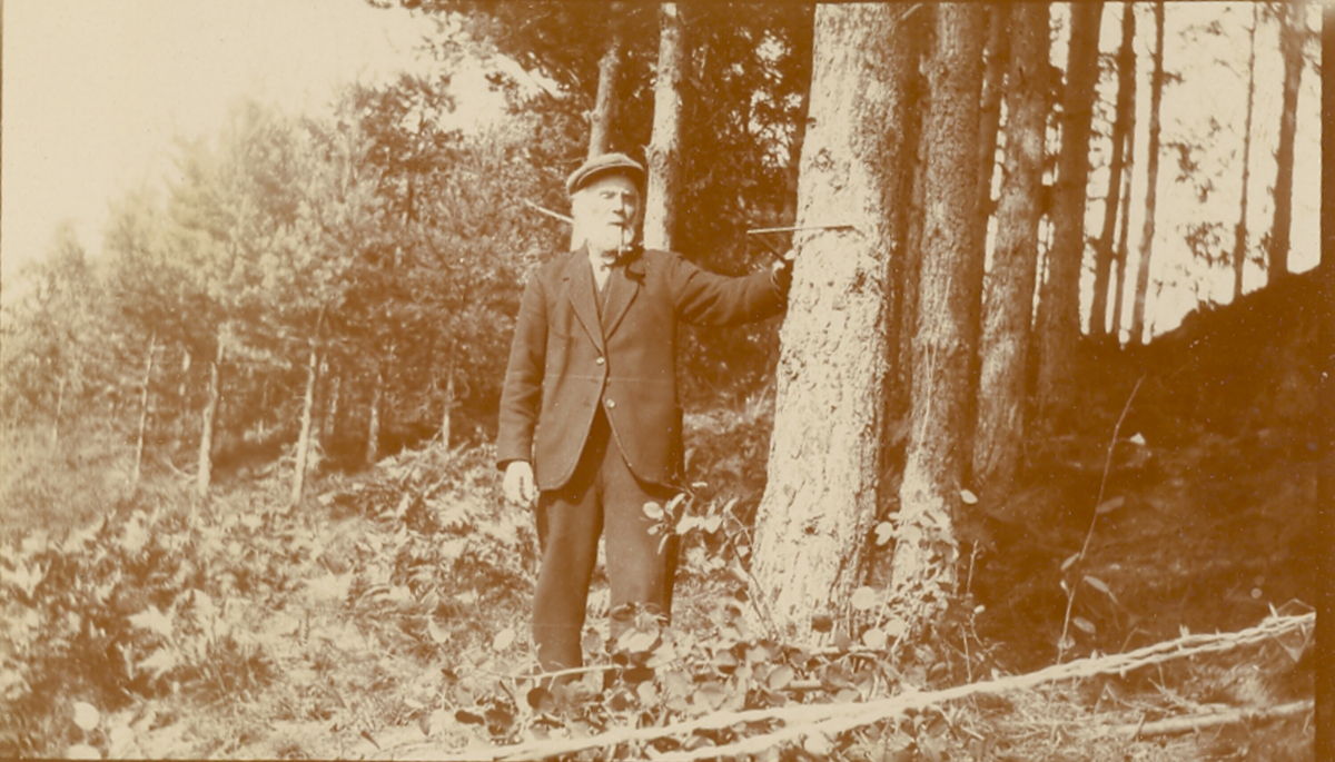 Erik Haugland i furuskog