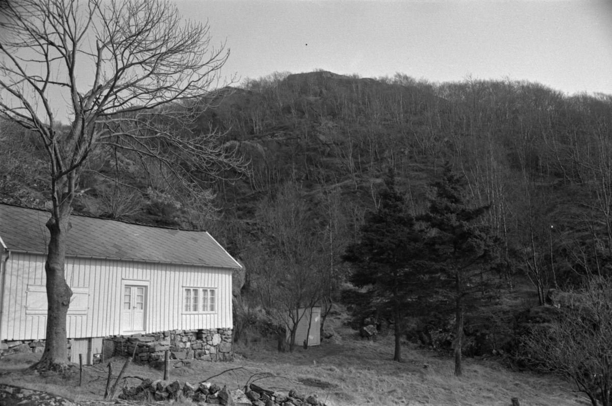 Hus i Nordfjord, mars 1972.