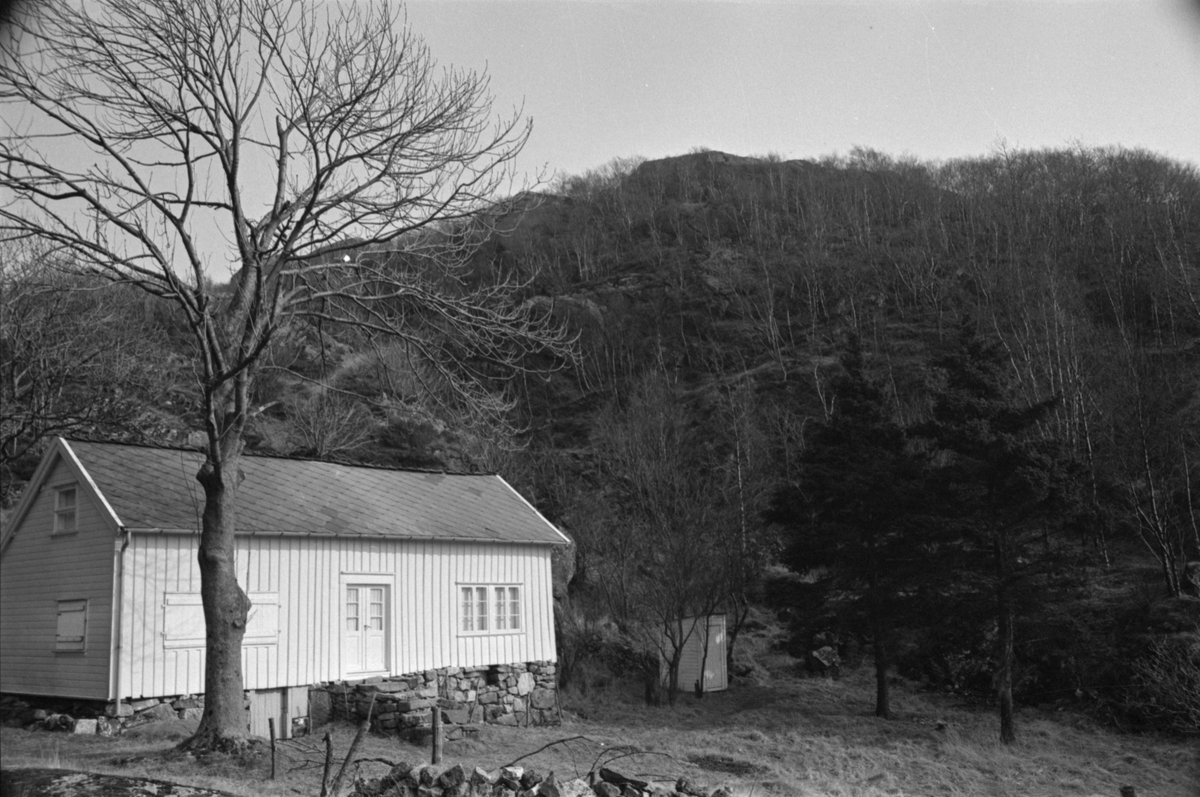 Hus i Nordfjord, mars 1972.