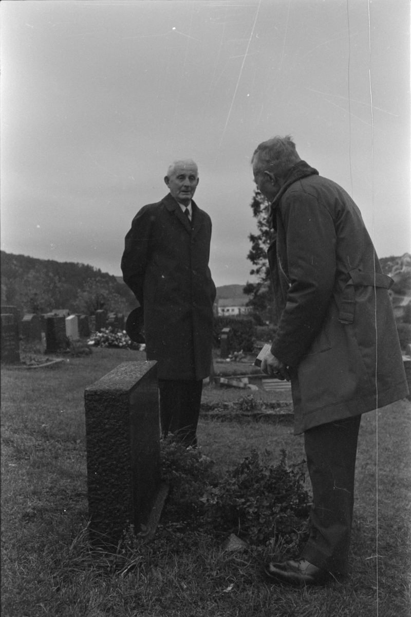 Egersund kirkegård, juni/juli 1979.