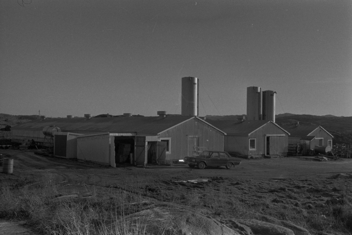 Campelen Not og Trål i Kløver Hansens bygninger ved Koldalsveien, 1972.