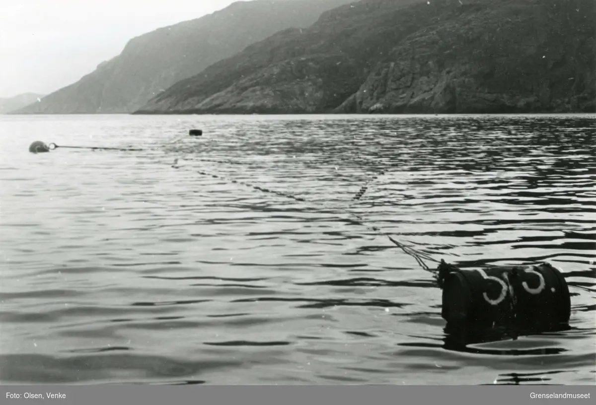 Fra lakseplassene ved Bugøyfjordstranda.