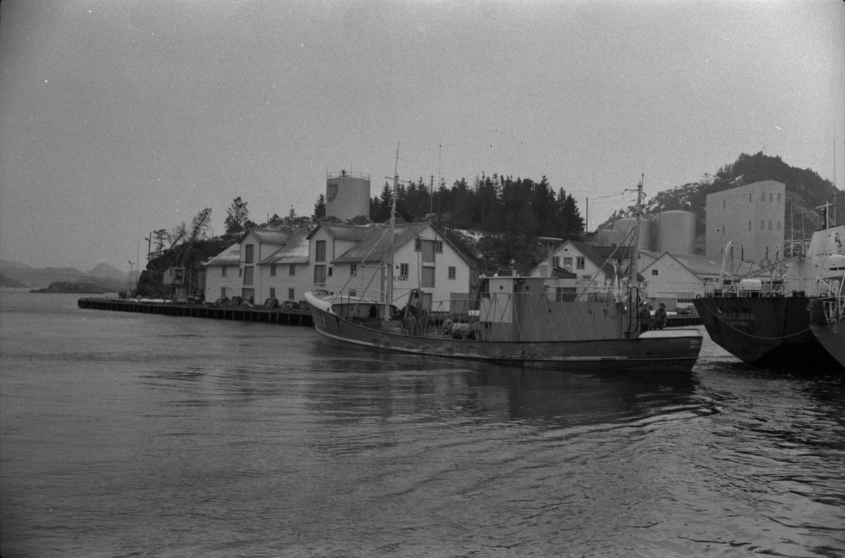 "Benedikte" fra Hirtshals