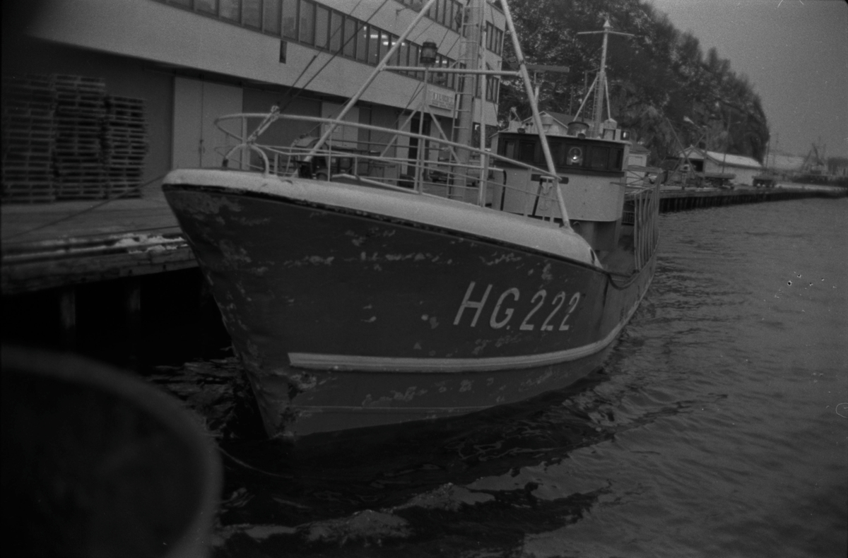 Fiskebåt HG-222 ved kai i Egersund, ca. 1975.