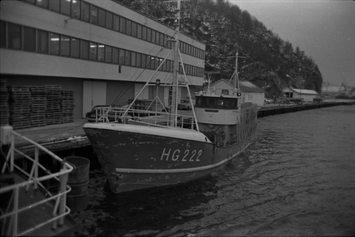 Fiskebåt HG-222 ved kai i Egersund, ca. 1975.