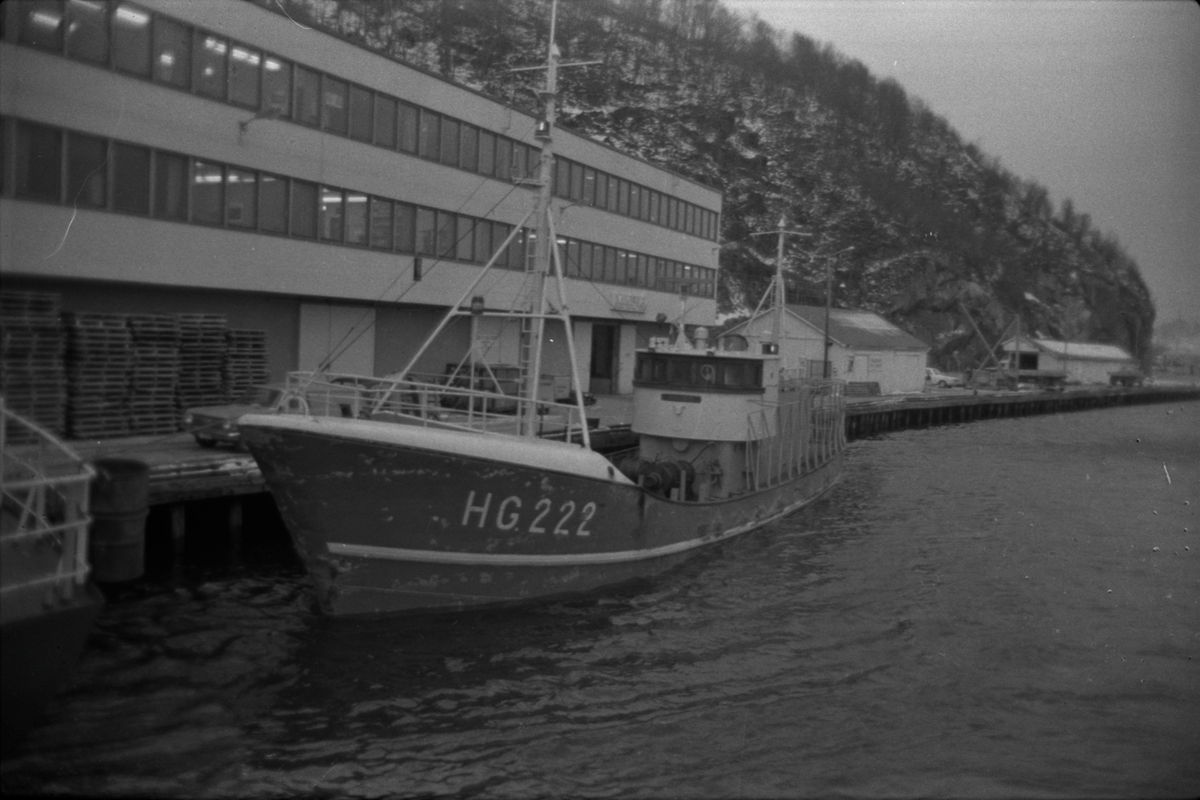 Fiskebåt HG-222 ved kai i Egersund, ca. 1975.