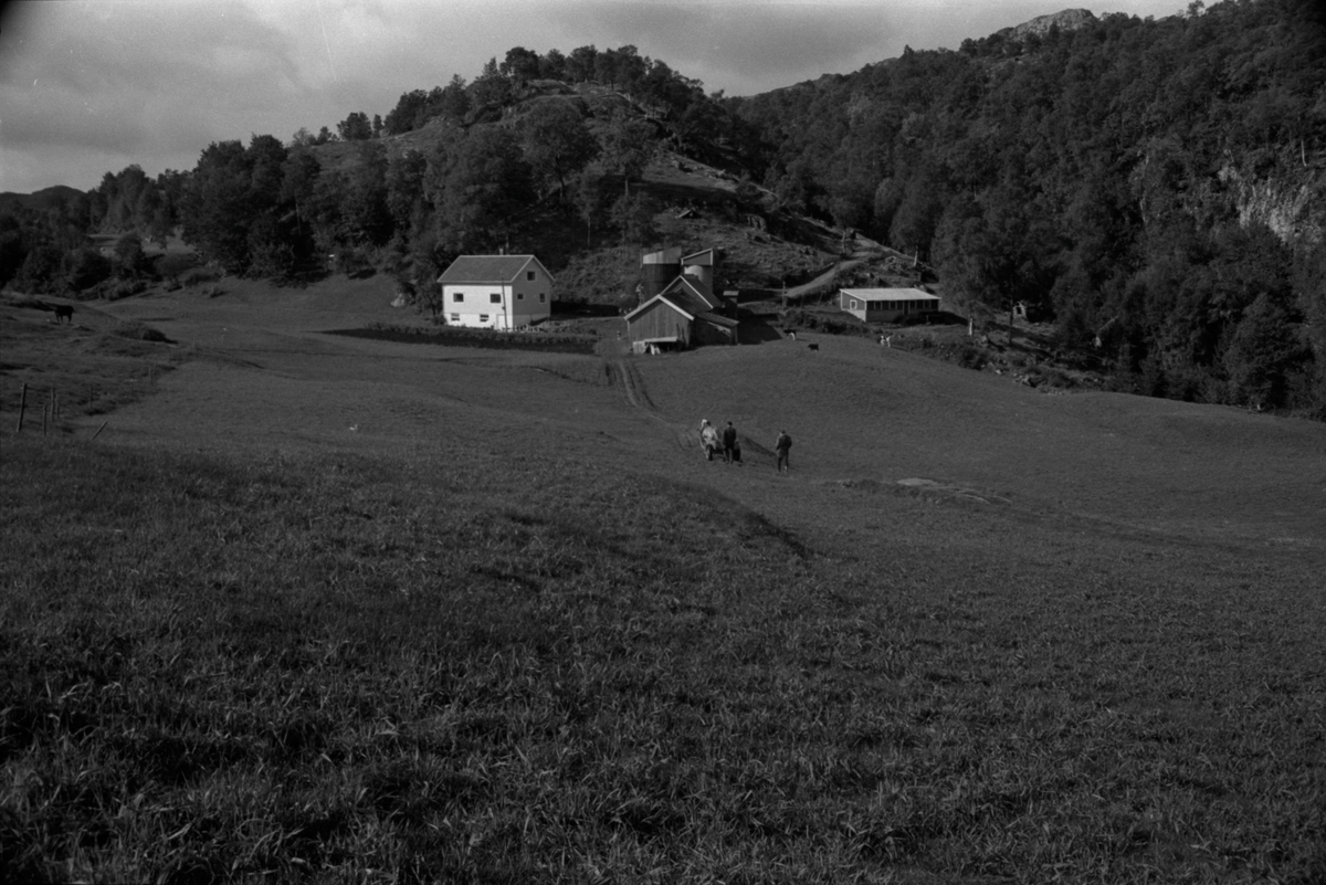 Liavodlen ved Holte i Helleland, 1972.