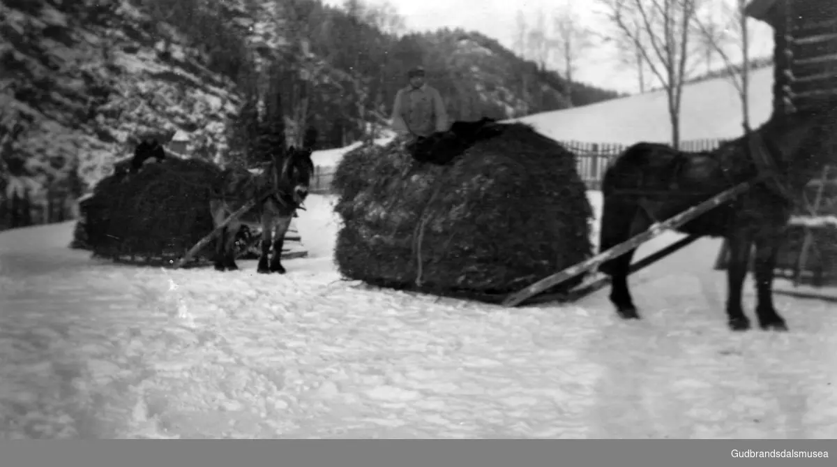 Høykjøring på slede, Kaus, Ringebu