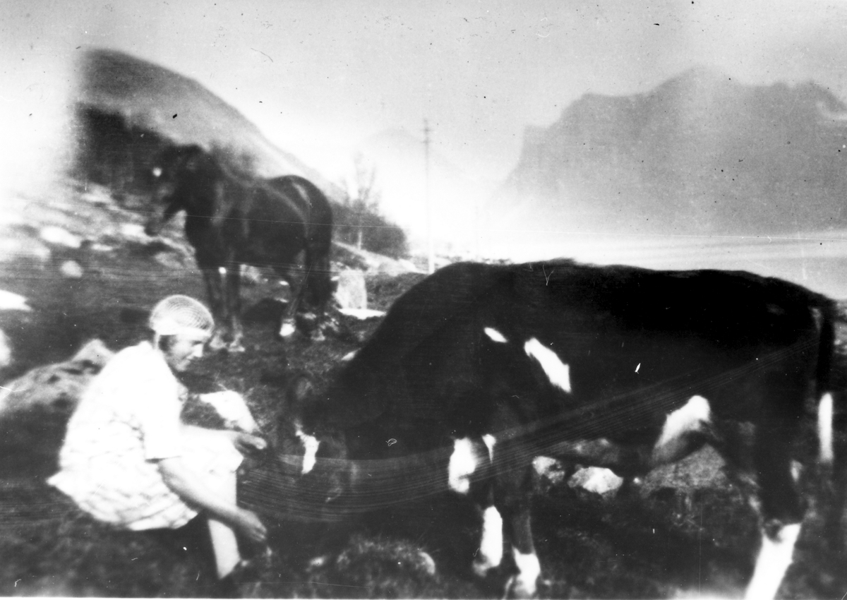 Martha Heitmann med hest og ku i lia på Skaland.