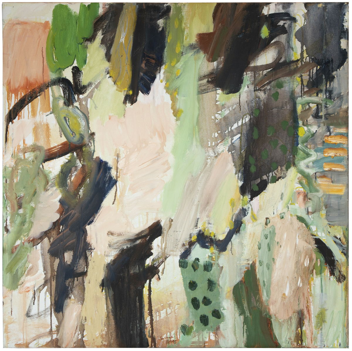 Skog - skisse [Oljemaleri]