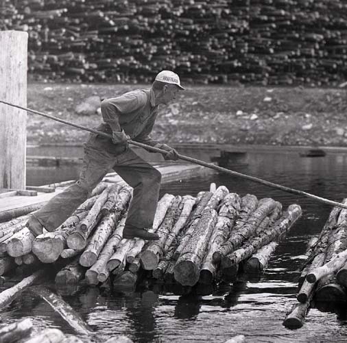 Arbetare vid Hissmofors, 6 augusti 1959. Flottning av timmerbröt. I bakgrunden syns ett stort timmerupplag.