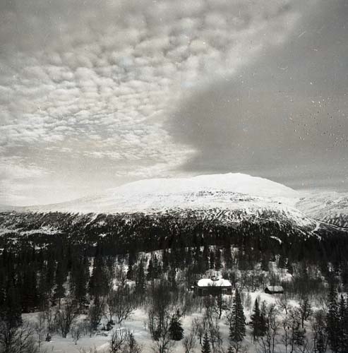 JUF:s stuga mot Renfjället vid Växboodlarnas resa, Jämtland 26 februari - 3 mars 1953.