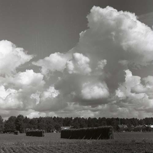 Provfilm - FP3 - på molntagningar, 6 augusti 1956. Uppåt byn i Glösbo med hässjor.