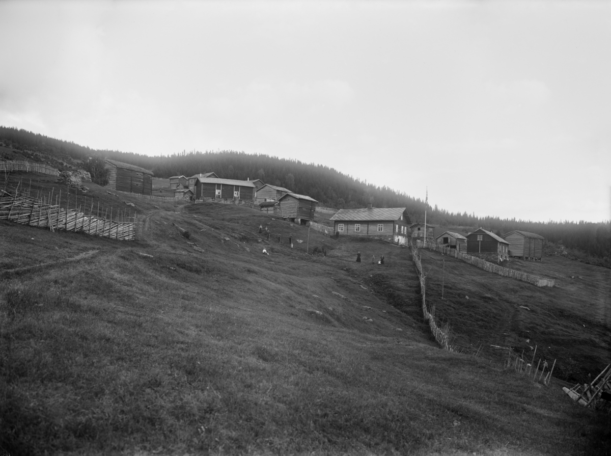 Kort : Ringebu  Odlo 25/7-1910 Garden Odlaug