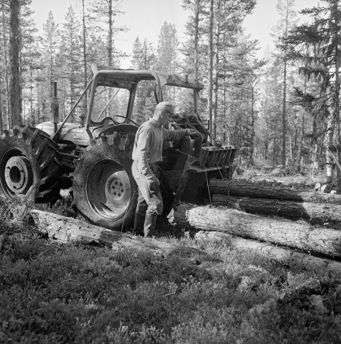 Tømmerlunning - såkalt snarekjøring - med traktordrevet vinsj i statens skoger i Elvdalen i Engerdal. Her ble lunning og framkjøring utført i en operasjon. Her ble tømmeret stroppet  og vinsjet inn mot ei såkalt lunnepanne, en stålskjerm som kunne heves og senkes ved hjelp av traktorens hydraulikk og som skulle beskytte bakparten på traktoren under kjøringa. De fremre stokkendene løftes noe, slik at de ikke skal hekte seg fast i oppstikkende stubber og stein, mens de bakre stokkendene slepes på marka. Da dette fotografiet ble tatt snarekjørte skogsarbeiderne furutømmer i hele lengder, som ble trukket langs ei «lunnegate» mot velteplassen med en traktor av typen Fordson Super Major.

Dette fotografiet ble tatt under ei befaring under en konferanse Direktoratet for statens skoger arrangerte i Trysil og Engerdal høsten 1964. Det var skogforvalter Asbjørn Garaas som orienterte om driftsopplegget og tidsstudier som var gjort for å evaluere effektiviteten. Hovedpunktene i det Garaas hadde å fortelle konferansedeltakerne finnes i en avisreportasje som er gjengitt under fanen «Opplysninger».