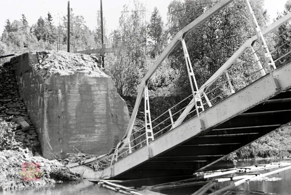 Bårlidalen bru  over Andelva - Krigsskadde bruer 1940.

Se også bilde NVM 00-F-33212  i Nedlastinger/Relaterte objekter lenger ned på siden.
Bårlidalen bru 26-04-1940 i album etter  Karl Olsen, (vegdirektør 1960-1980) med foto av krigskadde sprengte bruer på Romerike 1940. 

Ref. til artikkelen Krigens ødeleggelser i boka "Men arbeidet måtte gå," der vegfolk forteller om krig og okkupasjonsår. Materialet er samlet og bearbeidet av Kjell Hegdalstrand. Utgitt av  Statens vegvesen - Norsk vegmuseum 1995.

Se også boka "Krigens veger i Finnmark,"av Bjarne Langseth.
Sitat fra boka: "Krigens veger i Finnmark handler om krigen, veger og Finnmark, og om hvordan vegene bandt folk og samfunn sammen. Vegvesenet var på denne tida involvert i det meste som foregikk i lokalsamfunnet. Ansatte fikk føle nøden på kroppen, samtidig som de organiserte nødsarbeid for andre. De kjente på trusselen om okkupasjon, samtidig som de bisto forsvaret både med sikkerhetsforanstaltninger og flere var med i direkte kamphandlinger.
Vegvesenets historie i Finnmark under andre verdenskrig forteller mye av finnmarkingenes historie fra samme periode."