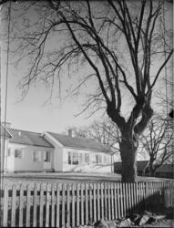 ELEMENTHUS I SIGTUNA, EXT. OCH INT. KÖK OCH VARDAGSRUM
EXT. 