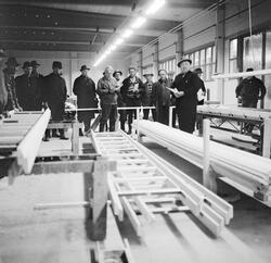 Fra Trysil kommuneskogers befaring med lokalpolitikerne i ko