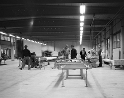 Fra Trysil kommuneskogers befaring med lokalpolitikerne i ko