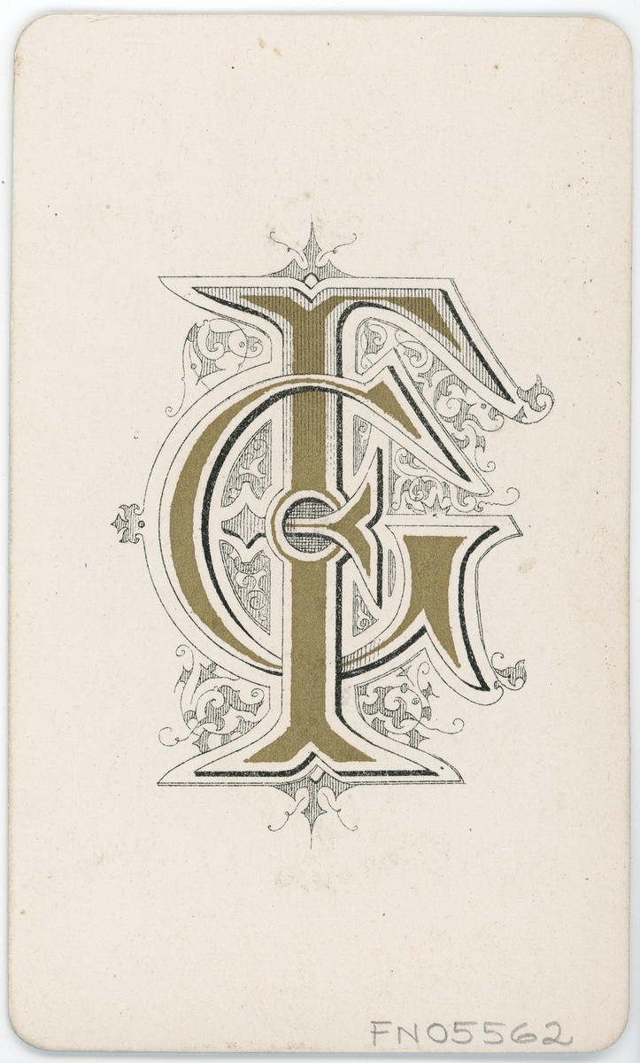 Kabinettsfotografi - kronprins Gustaf, Stockholm 1875