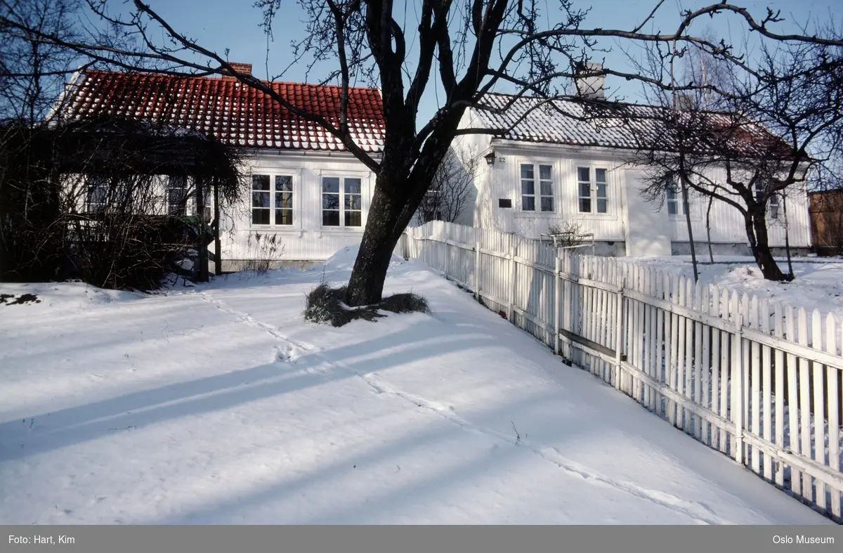 bolighus, trehus, hager, gjerde, snø