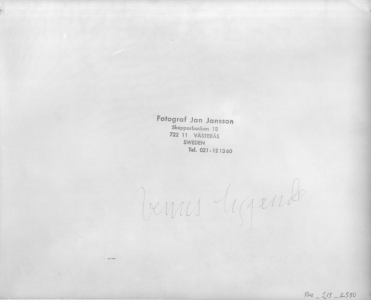 Konstverk, Venus liggande.