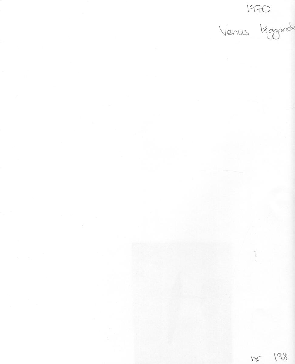 Konstverk, Venus liggande.