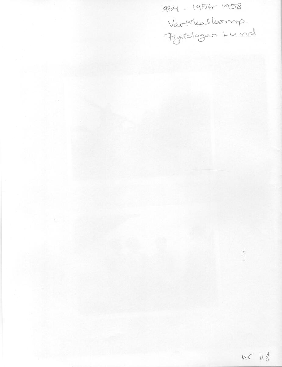 Skulptur, Vertikal komp.