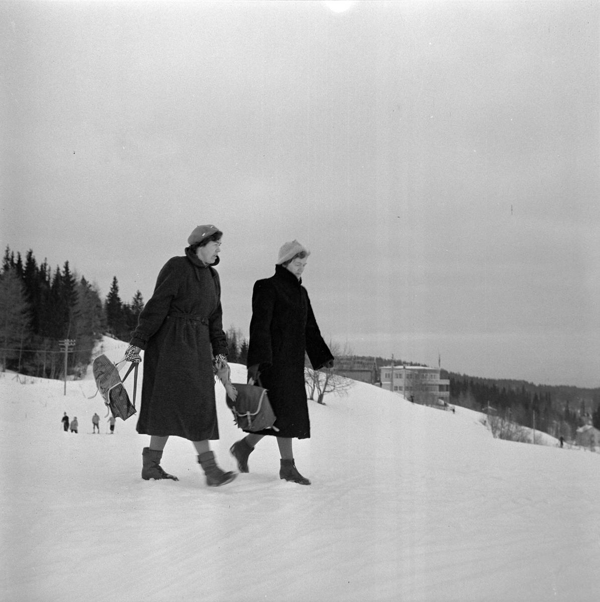 Utfart i Bymarka