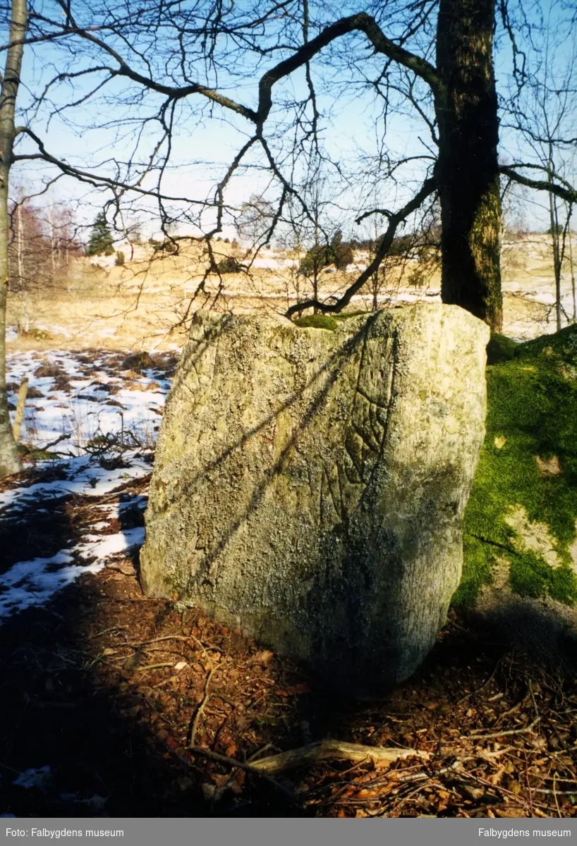 Vartofta-Åsaka. Runsten.