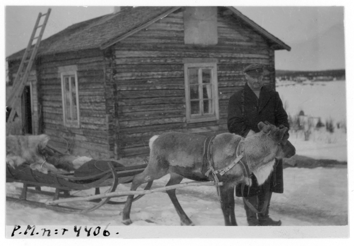 Lantbrevbärare J.K.A. "Posti-Kalle" på linjen Muonionalusta - Karesuando 1910-talet.