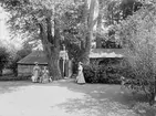 Gårdsinteriör från Wallenbergska trädgården i Linköping. Utifrån andra fotografier är år 1898 en rimlig datering. Inte lång tid före bildens tillkomst hade gården tillhört landssekreterare Adolf Wallenberg och dennes maka. Dessa och inte minst den tidigare ägaren, stadsläkare Johan August Åman, hade anlagt en ståndsmässig trädgård som vid sidan av nytto- och blomsterland kunde medräkna ruddamm, promenadstråk, dekorativa ekonomihus och mer därtill. Det märkliga lusthuset på bilden finns beskriven av Wallenbergs systerdotter Ulla Linder, som i sin barndom ofta besökte platsen. Grottan som det kallades var uppfört under Wallenbergs tid. Dess ytterväggar var klädda med granbark, utom framsidan som bestod av ostronskal. Huset innehöll två rum. Det första hade handmålade tapeter på väggar och tak och saknade fönster förutom små runda gluggar i taket. Det inre rummet hade rundad form och här var väggar och tak klädda med blå-och vitrandig bomullsväv. I byggnaden förvarades främst utrustning och redskap till sällskapsspel. Till höger om Grottan skymtar änden på den kägelbana som Adolf Wallenberg lät iordningställa 1868. Upplysningsvis kom den via en tid på Drabbisdal i Vreta kloster att flyttas till friluftsmuseet Gamla Linköping. Vid tiden för bilden var fastigheten invecklad i en rad avstyckningar och ägobyten. Några personer som överensstämmer med bildens kvinnor har inte gått att finna.