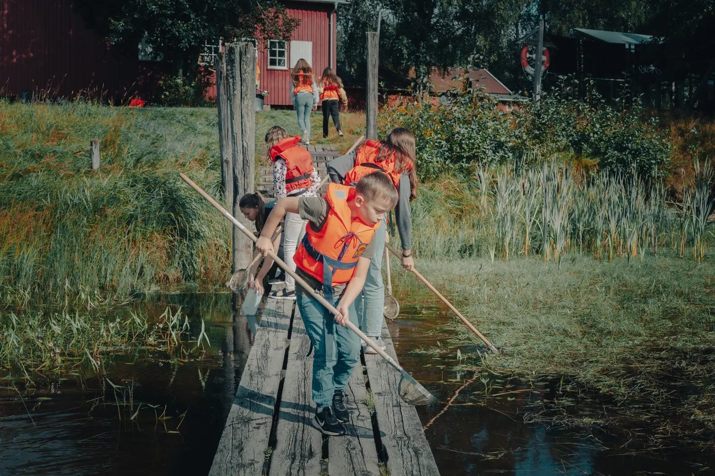 Foto av flere barn som driver med insektfangst ved vannet
