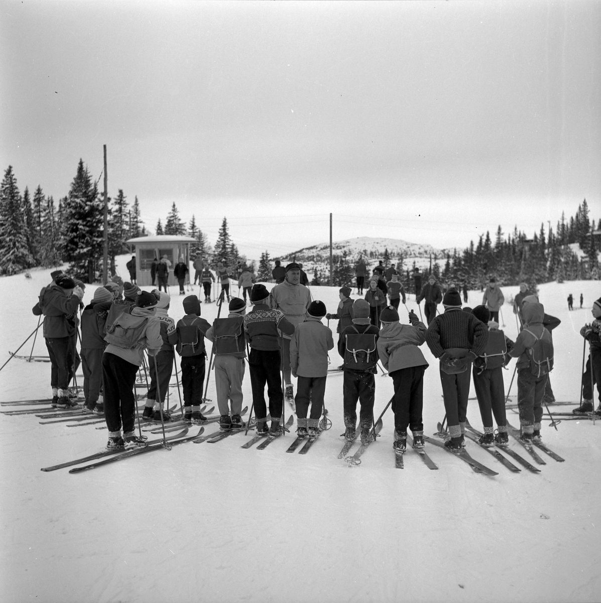 Skolebarn i Bymarka