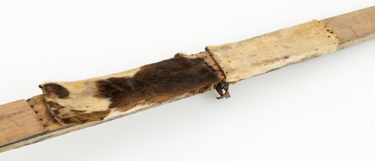 Skiet har ingen stei. Rett avskåret bak. Rygg ca. 38 cm fra tuppen. L skarerand: 201 cm. Finbøy med profilert tupp (skråskjært). Skiet har kun skinn midt under skiet. Mangler såle. Bindingen har bestått av vidje og lærbinding. Baktungt.