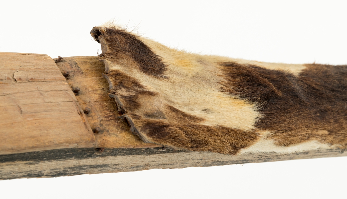 Skiet har ingen stei. Rett avskåret bak. Rygg ca. 38 cm fra tuppen. L skarerand: 201 cm. Finbøy med profilert tupp (skråskjært). Skiet har kun skinn midt under skiet. Mangler såle. Bindingen har bestått av vidje og lærbinding. Baktungt.