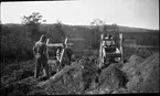 Tre män står vid sållen och söker efter fynd i jordmassor från den mellersta vallgraven vid Rumlaborg i Huskvarna i samband med arkeologiska undersökningarna där sommaren 1932. Martin Lindstedt och folkskollärare Gösta Rosengren står vid det vänstra sållet och fil. stud. Walter Fredriksson vid det högra. Massorna hade grävts upp vintern 1931 och lagts upp på den inre vallen för att torka.