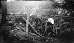 Tre män arbetar med att frilägga en stockbåt i den inre vallgraven (grav I) vid Rumlaborg i Huskvarna i samband med arkeologiska undersökningar där sommaren 1932. Stockbåten visade sig vara halverad på längden och daterades till medeltiden. I studentmössa längst bak ses fil. stud Anders Lindahl.