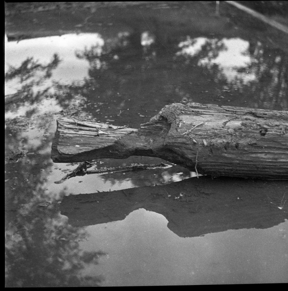 En bearbetad stock som grävts upp ur den inre vallgraven vid Rumlaborg i Huskvarna i samband med arkeologiska undersökningar där sommaren 1935.