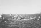 Rester efter ett havererat flygplan Albatros på flygfältet i Ljungbyhed, cirka 1918. Folksamling uppehåller sig vid planet.