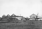 Exteriör av Thulins flygskola i Ljungbyhed cirka 1915-1917. Framför hangarerna står tre flygplan Thulin A, ett flygplan Thulin D samt ett flygplan Thulin B. Framför flygplanen står en motorcykel samt en motorcykel med sidovagn.