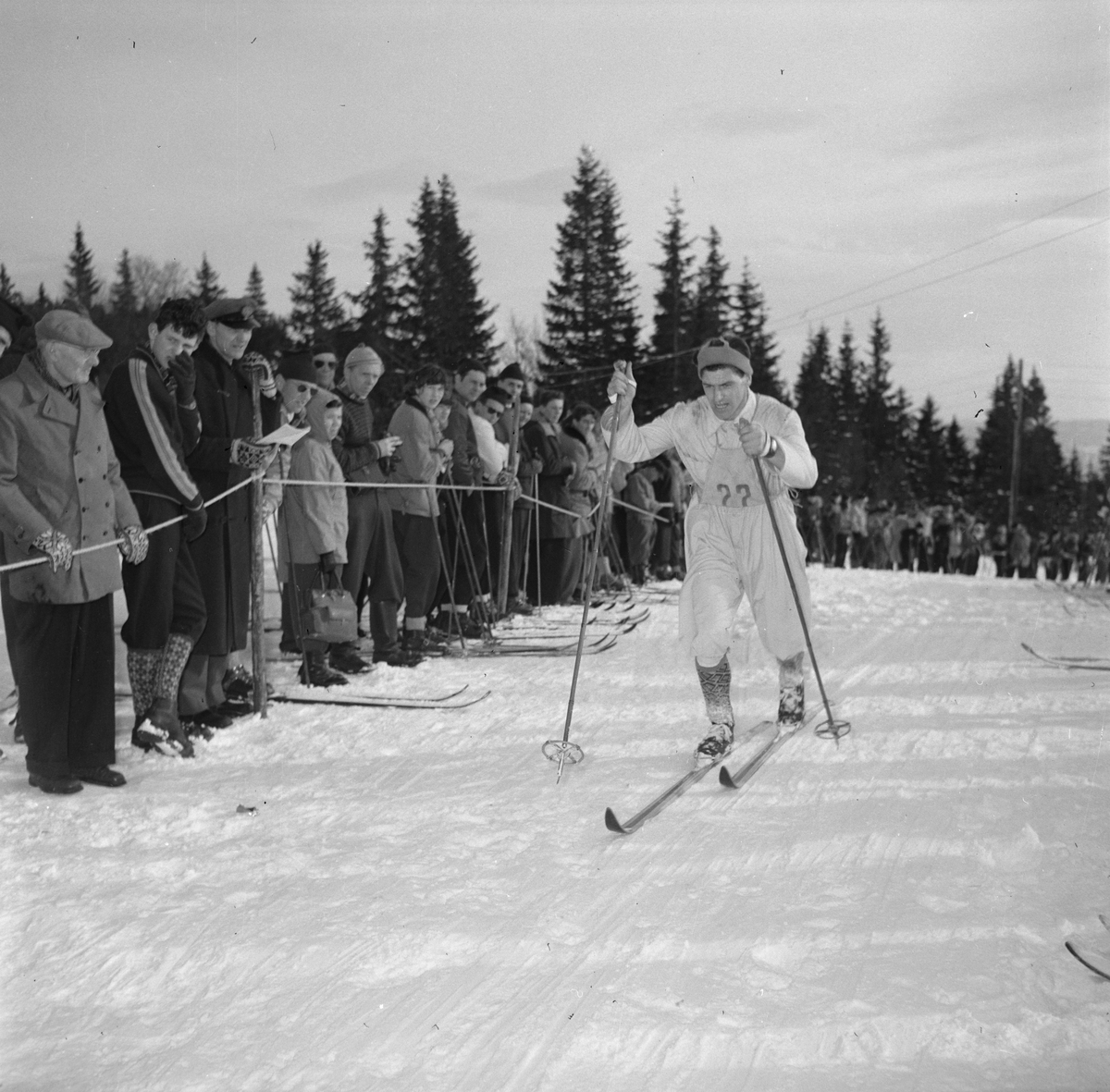 Gråkallrennets 30 km